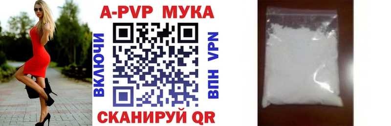 цена   Сланцы  APVP СК КРИС 
