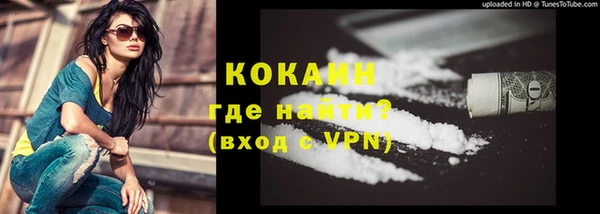 стаф Белокуриха