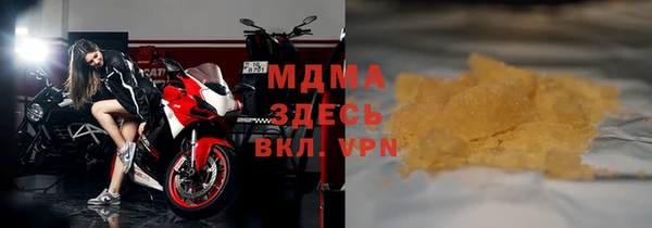 стаф Белокуриха