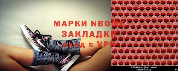 стаф Белокуриха