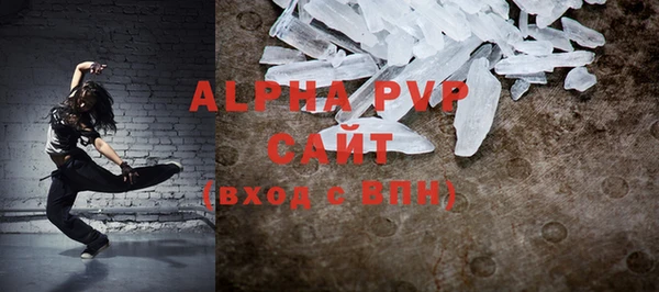 сатива Ростов