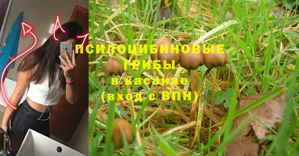бошки Белоозёрский