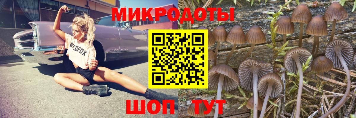 Галлюциногенные грибы прущие грибы Сланцы