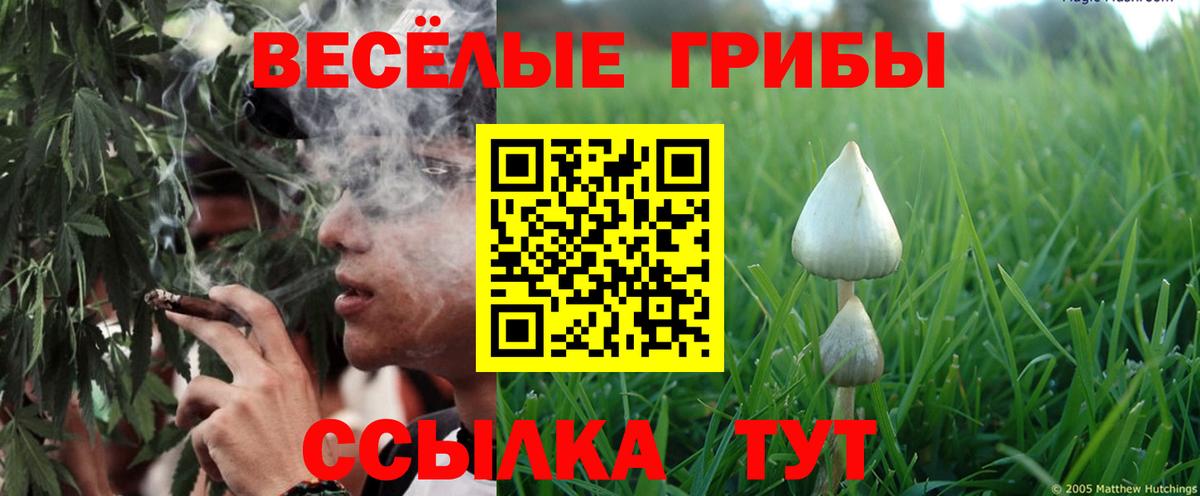 Псилоцибиновые грибы мухоморы  Вход с VPN  Сланцы 